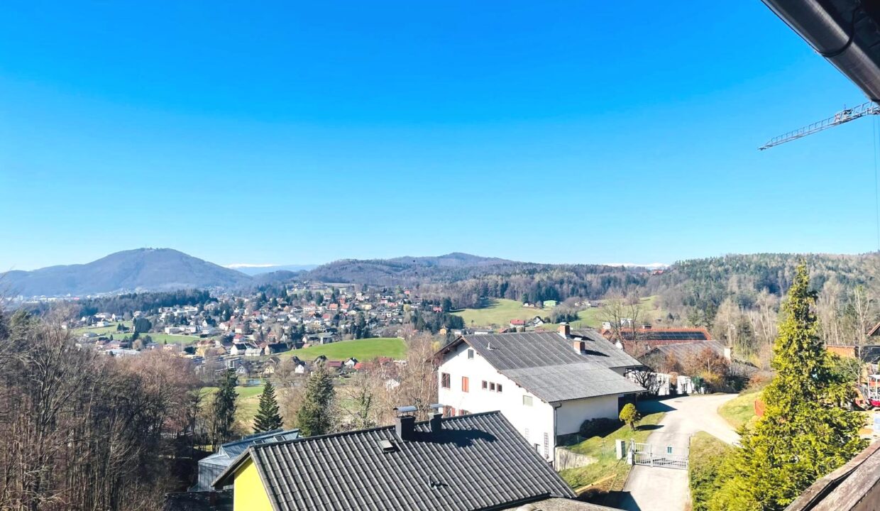 PHOTO-2025-03-19-11-04-02 (3)