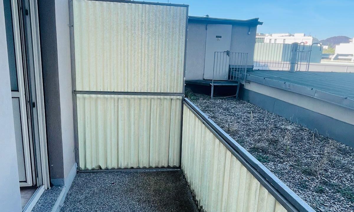 PHOTO-2025-04-09-12-38-12 (11)