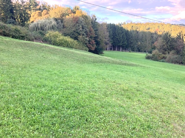 PHOTO-2025-10-01-18-01-39 (4)