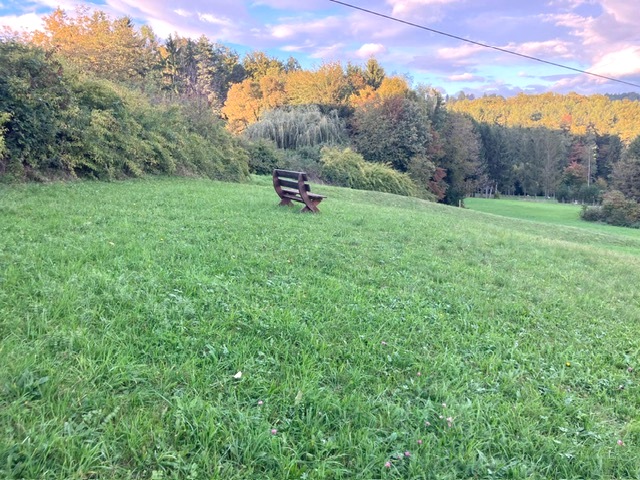 PHOTO-2025-10-01-18-01-39 (6)