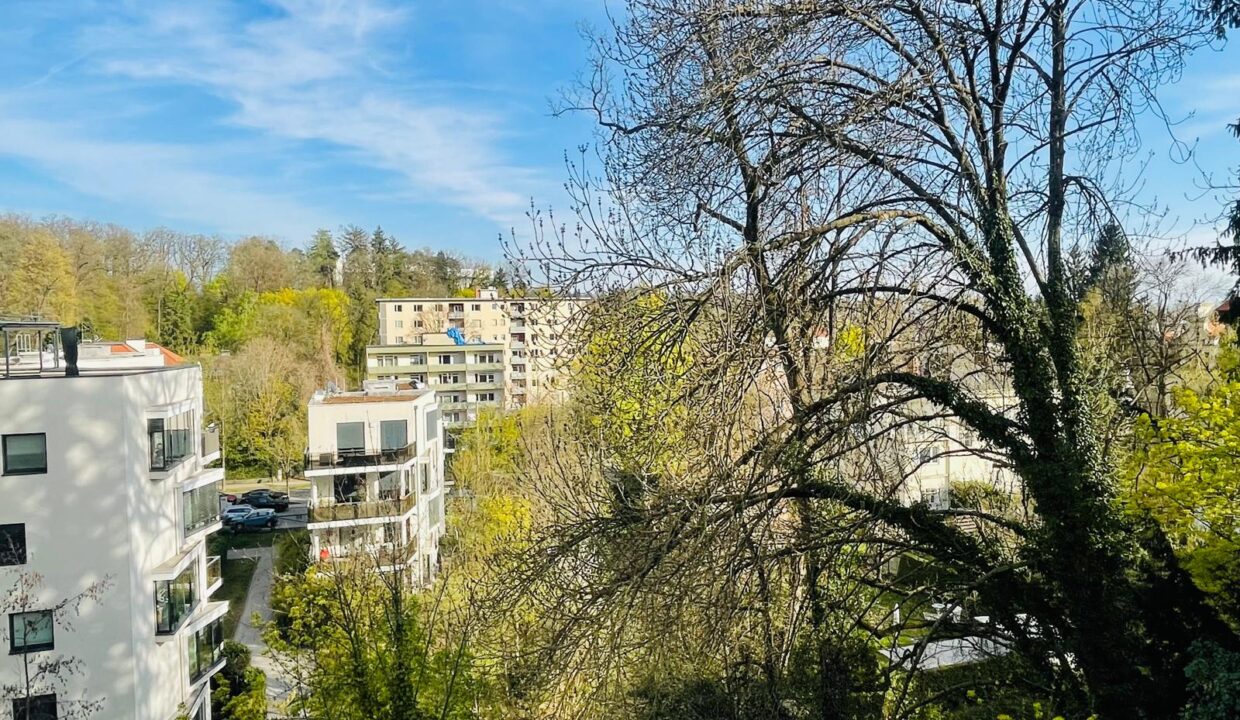 1c151daf-68c7-4ac0-af64-5e1c88a58e91(1)