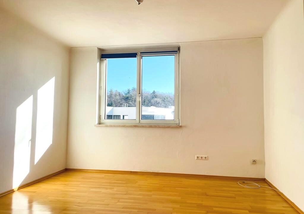 PHOTO-2024-01-29-15-04-00 (10)